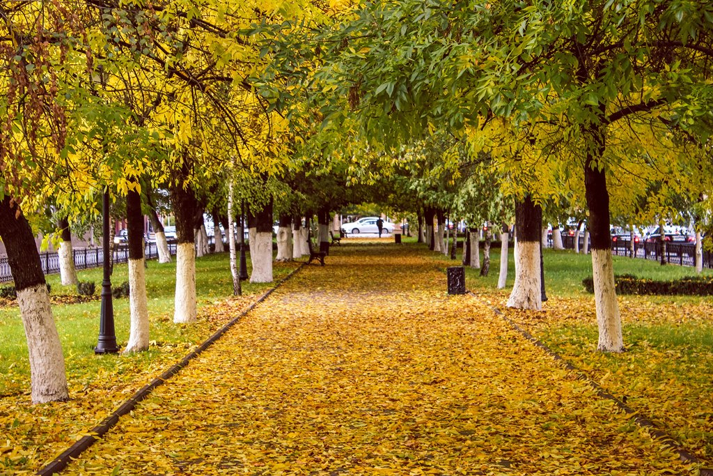 Осенний фотоконкурс